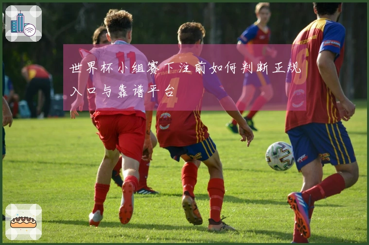 世界杯小组赛下注前如何判断正规入口与靠谱平台
