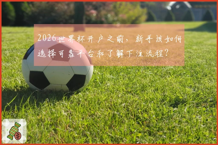 2026世界杯开户之前，新手该如何选择可靠平台和了解下注流程？