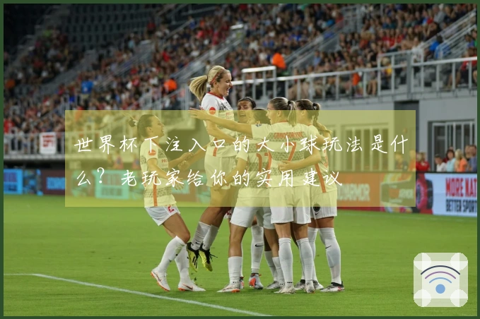 世界杯下注入口的大小球玩法是什么？老玩家给你的实用建议