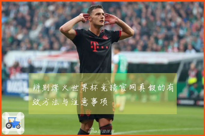 辨别烽火世界杯竞猜官网真假的有效方法与注意事项