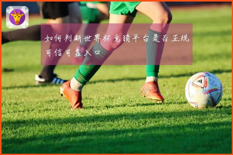 如何判断世界杯竞猜平台是否正规可信可靠入口