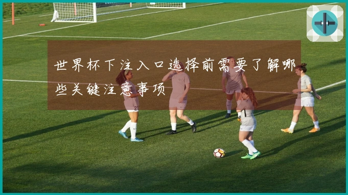 世界杯下注入口选择前需要了解哪些关键注意事项