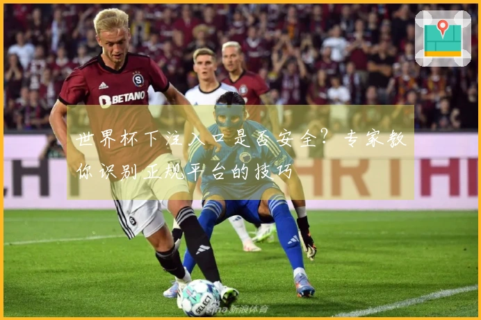 世界杯下注入口是否安全？专家教你识别正规平台的技巧