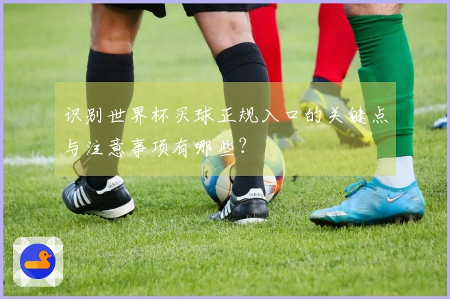 识别世界杯买球正规入口的关键点与注意事项有哪些？