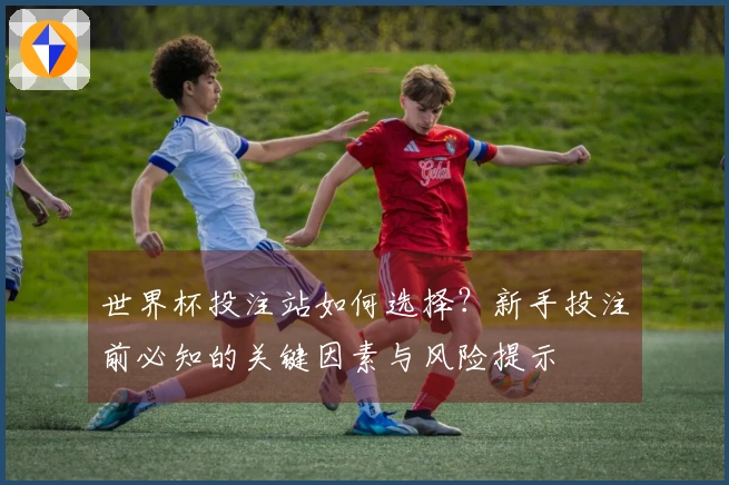 世界杯投注站如何选择？新手投注前必知的关键因素与风险提示