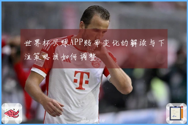 世界杯买球APP赔率变化的解读与下注策略该如何调整