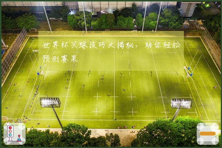世界杯买球技巧大揭秘，助你轻松预测赛果