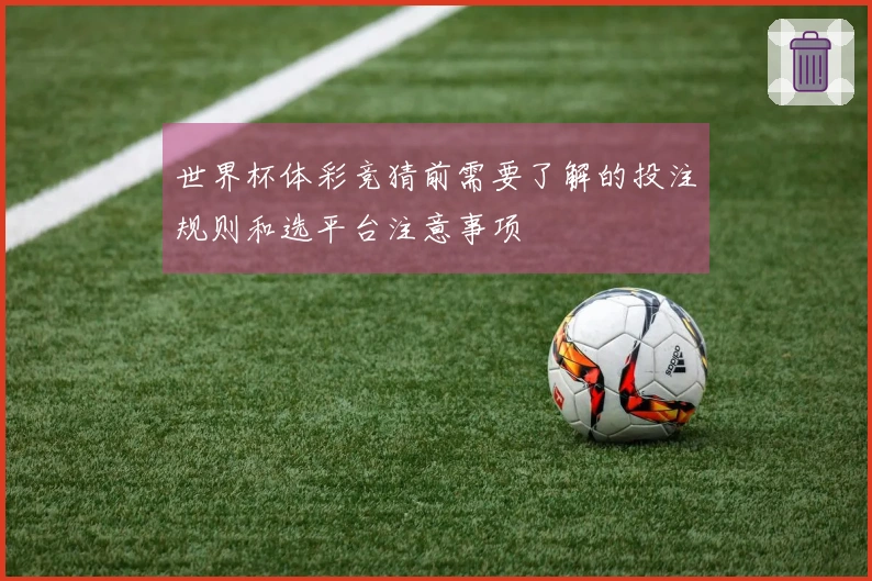 世界杯体彩竞猜前需要了解的投注规则和选平台注意事项