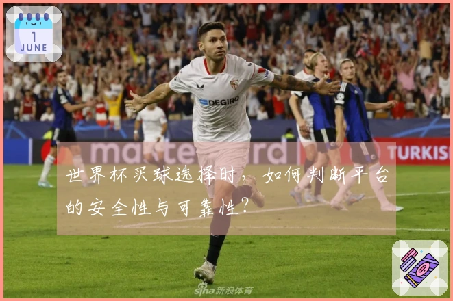 世界杯买球选择时，如何判断平台的安全性与可靠性？