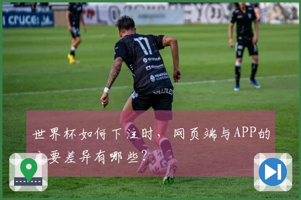 世界杯如何下注时，网页端与APP的主要差异有哪些？