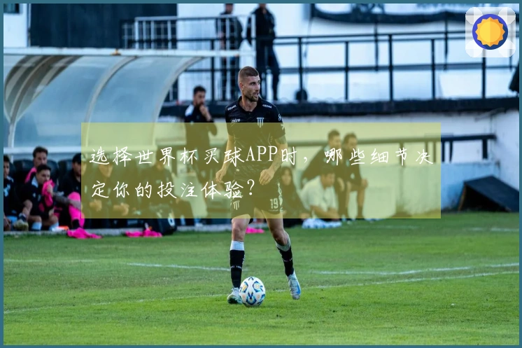 选择世界杯买球APP时，哪些细节决定你的投注体验？