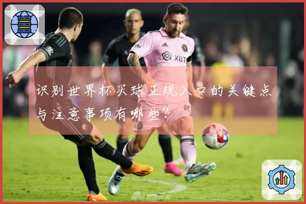 识别世界杯买球正规入口的关键点与注意事项有哪些？