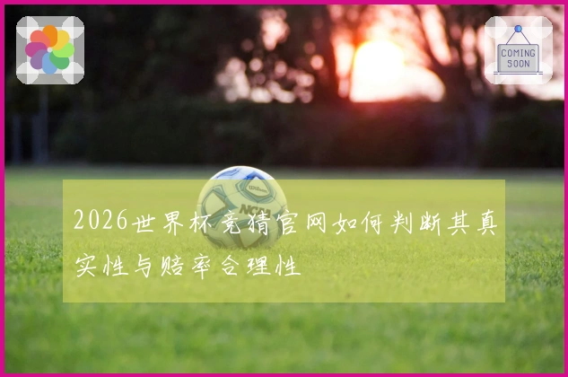 2026世界杯竞猜官网如何判断其真实性与赔率合理性