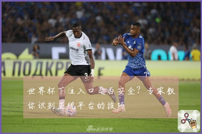 世界杯下注入口是否安全？专家教你识别正规平台的技巧