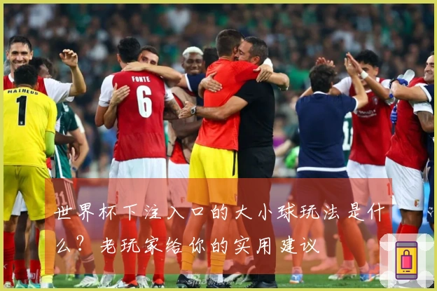 世界杯下注入口的大小球玩法是什么？老玩家给你的实用建议