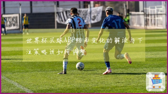 世界杯买球APP赔率变化的解读与下注策略该如何调整
